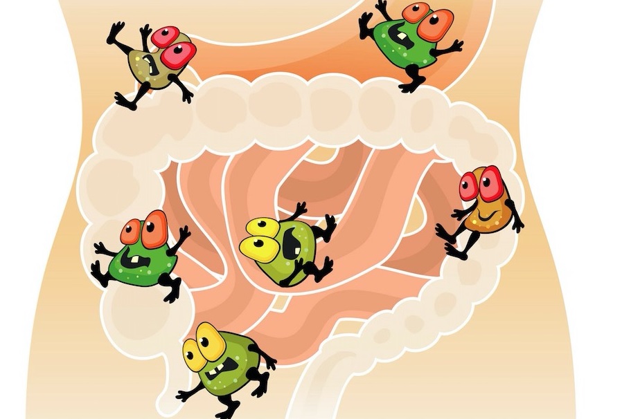 Jótékony baktériumok – a probiotikumok történelme