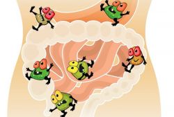 Bővebben: Mi a különbség a probiotikum és prebiotikum között?